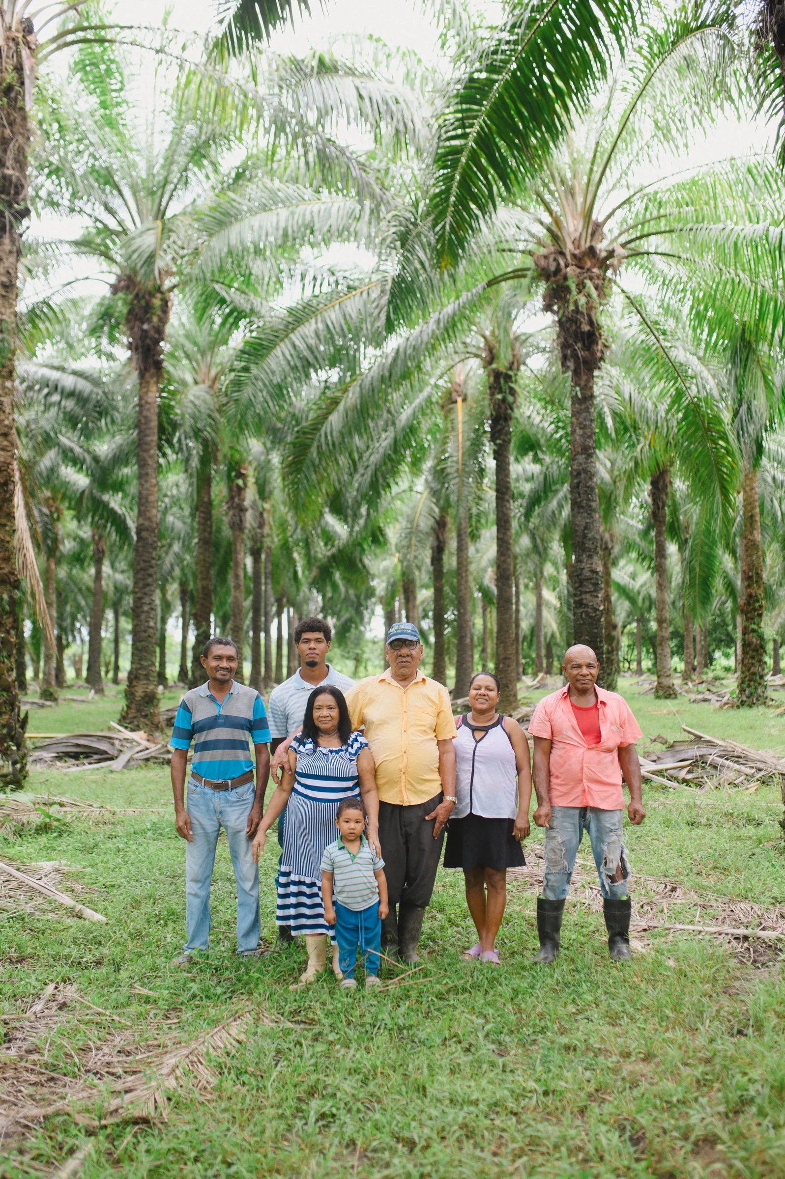 Familia productora de palma reunida en el cultivo.