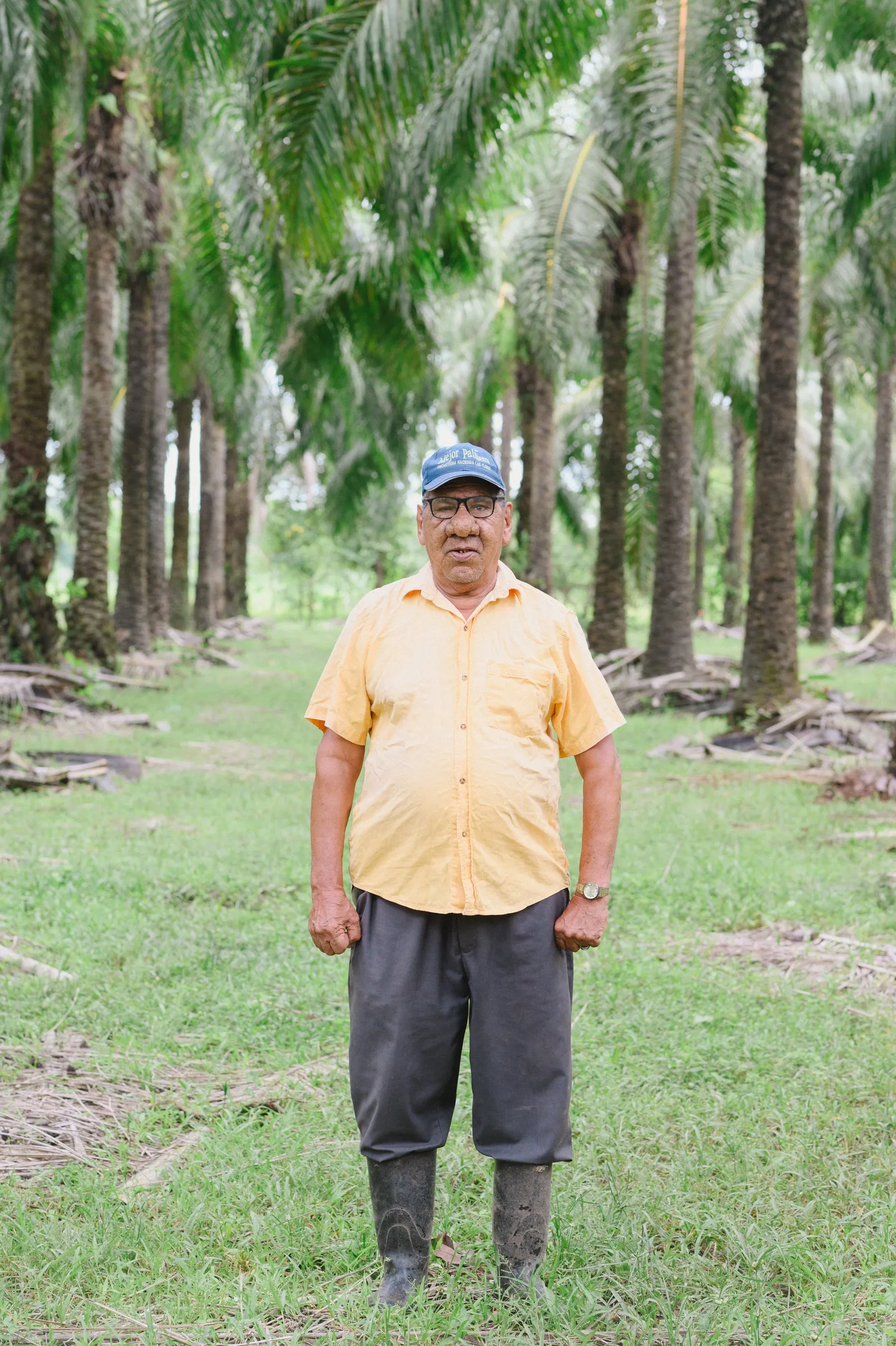 Productor de palma de pie en su cultivo.